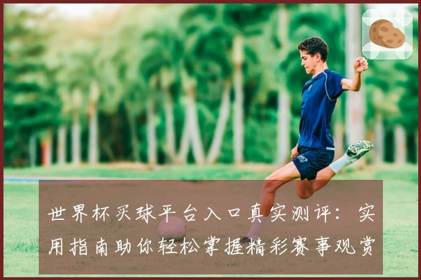 世界杯买球平台入口真实测评：实用指南助你轻松掌握精彩赛事观赏体验