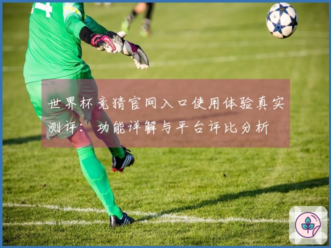 世界杯竞猜官网入口使用体验真实测评：功能详解与平台评比分析