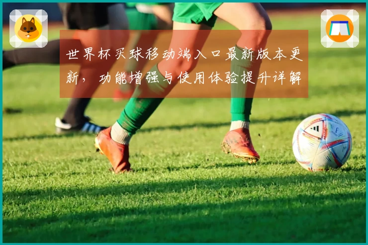 世界杯买球移动端入口最新版本更新，功能增强与使用体验提升详解