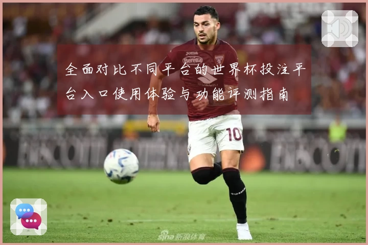 全面对比不同平台的世界杯投注平台入口使用体验与功能评测指南