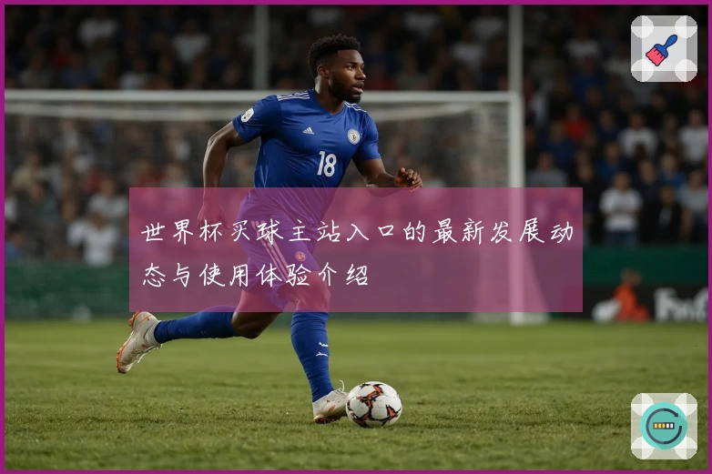 世界杯买球主站入口的最新发展动态与使用体验介绍