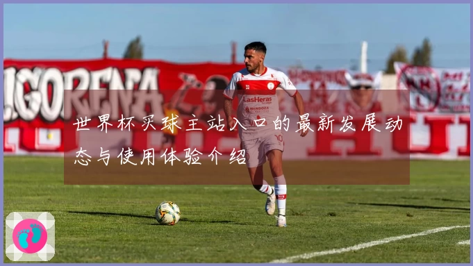 世界杯买球主站入口的最新发展动态与使用体验介绍