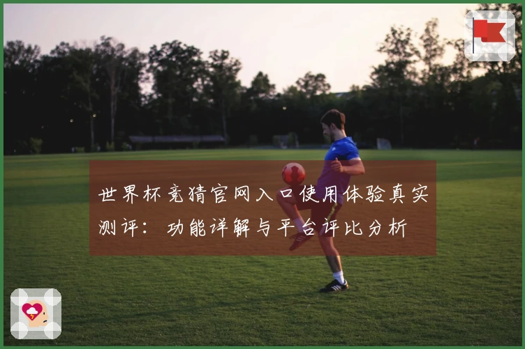 世界杯竞猜官网入口使用体验真实测评：功能详解与平台评比分析